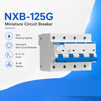 Disjoncteur AC NXB-125G B Curve 63A 80A 100A avec protection contre les surcharges pour circuits d'éclairage, prêt à l'emploi résidentiel