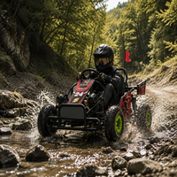 Go Kart Listrik Dune Buggy dengan Penggerak Rantai, Daya 500W & Kecepatan Maksimum 40km/jam untuk Balapan Anak-Anak di Luar Ruangan