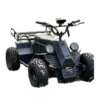 Buggy de plage électrique 60V 10000W à quatre roues motrices, tout-terrain, frein à disque, 100 km/h, autonomie de 80 km, directement de l'usine