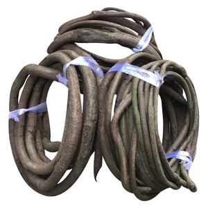 Artificiale decorativo naturale <span class=keywords><strong>rami</strong></span> secchi viti d'albero acquario acquario acquario abbellimento legno naturale albero vite - Product Image 3