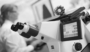 Pour l'analyse des matériaux et la détection d'échantillons métallographiques avec éclairage LED automatique pour microscope inversé Axio Observer - Product Image 4