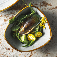 Svoryu — bol irrégulier en porcelaine grise, style japonais simple, riz, en céramique unie, 4.75/6/8/10 pouces, nouvelle collection