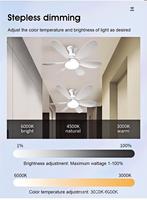 Ampoule de plafonnier ventilateur 30W E27 avec télécommande, moteur silencieux, base à vis, adaptable