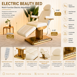 Cama <span class=keywords><strong>de</strong></span> Masaje Eléctrica Moderna Reclinable DN Spa Center para Salón <span class=keywords><strong>de</strong></span> <span class=keywords><strong>Belleza</strong></span> <span class=keywords><strong>y</strong></span> Spa con Funciones Ajustables - Product Image 3