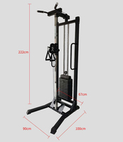 Equipo de entrenamiento para pájaros voladores pequeños, set de fitness para el hogar, equipo de fitness integrado para uso doméstico, máquina de dominadas de un solo lado.
