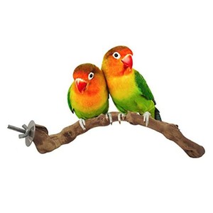 Pratik küçük ölçekli ahşap evcil hayvan kafesi parantez katı asma ve ağaç dalı kuşlar papağanlar için Pet mobilya süslemeleri standı - Product Image 1