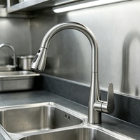Robinet de cuisine commercial en acier inoxydable 304, mitigeur de cuisine moderne avec douchette extractible pour évier