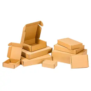 Eco Friendly Kraft Cartons Customized Logo Printing Thick Corrugated Paper Recyclable Shopping Cartons Packaging Boxes