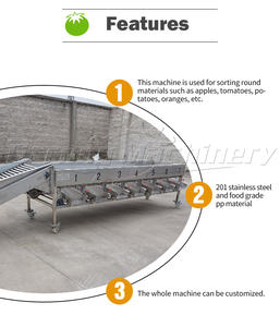 Offre Spéciale Orange Mangue Pomme Avocat Citron Frais Agrumes Trieur De Classement Lavage Trieuse - Product Image 4