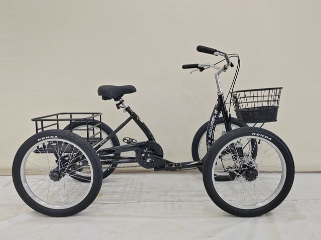 20inch Bike Steel Four-wheel Bike Quad Bike Four Wheel Bike