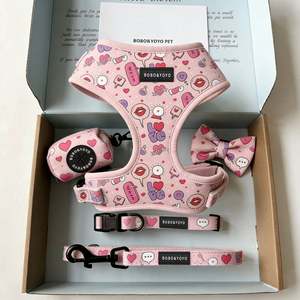 <span class=keywords><strong>2026</strong></span>年バレンタインデー エコフレンドリーデザイン プライベートラベル カスタムプリント 調整可能 ノープル ペット犬用ハーネス リード 首輪セット - Product Image 1