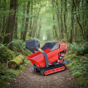 हाइड्रोलिक साइट छोटे ट्रक लोडर मिनी व्हील बैरो डम्पर व्हीलबैरो - Product Image 1