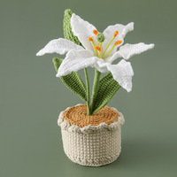 Handgefertigter Amigurumi Einzelner Lilien-Topf, Elegantes Minimalistisches Geschenk für Heim- und Bürotischdekoration