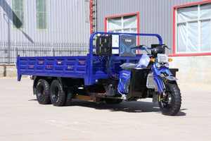 Tricycle benne mobile à <span class=keywords><strong>neuf</strong></span> roues de 350 cm³ le plus vendu pour le transport de marchandises - Product Image 6