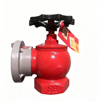 Nouvel Arrivage – Hydrant d'incendie professionnel en fonte ductile pour intérieur, 1,6 MPa, 65 mm (2,5 pouces), modèle SN65-A