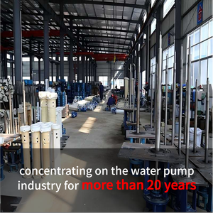 Pompe centrifuge submersible électrique à moteur triphasé en acier inoxydable anti-obstruction pour eaux sales et dragage de sable 2-3 pouces - Product Image 6