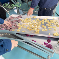 Volautomatische Groenten En Fruit Vacuüm Vriesdroogmachine Fruitgroentechips Gevriesdroogde Durian Aardbeien Meidoorn