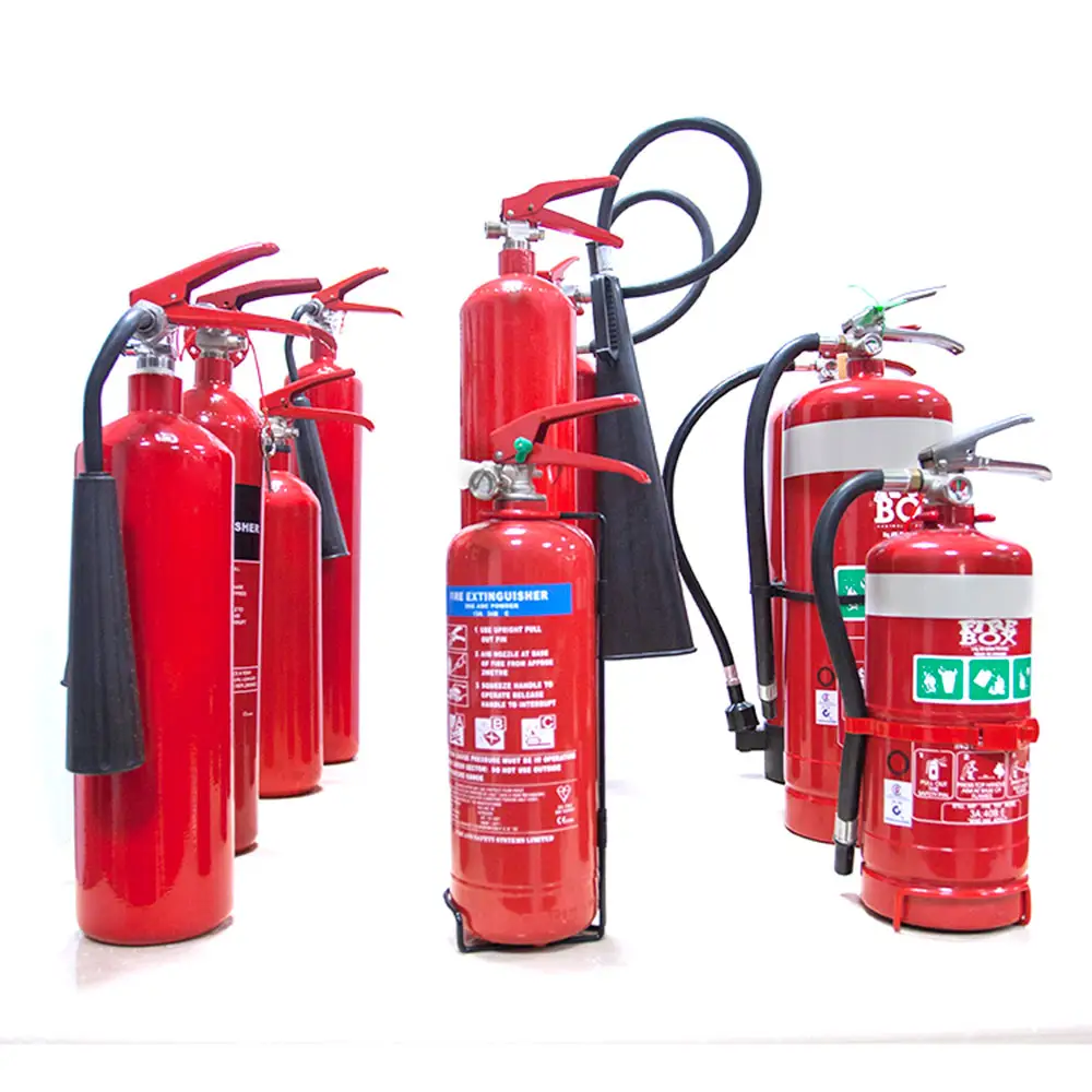 Harga Yang Kompetitif Disesuaikan Ukuran 2-6Kg Dry Powder Fire Extinguisher/CO2 dan Alat Pemadam Api Foam