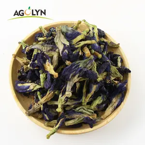 The Bloom Of The Butterfly Pea Flower Tea