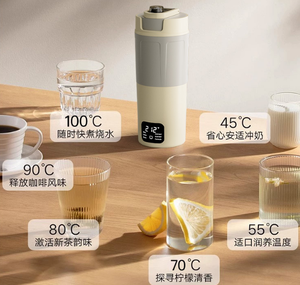 Bouilloire Électrique Portable en Acier Inoxydable Écologique 600ml Grande Capacité Sans Fil avec Arrêt Automatique Numérique pour Hôtel - Product Image 3