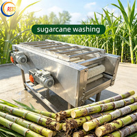 Machine de nettoyage et de traitement de la canne à sucre à brosse