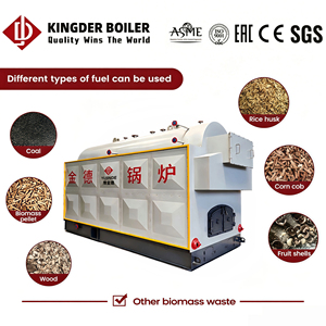 Chaudière à vapeur industrielle Kingder DZH 2,5 tonnes, au charbon, biomasse et bois, pour l'industrie alimentaire, textile et hôtelière - Product Image 1