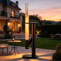 Poêle à granulés de biomasse haute efficacité pour terrasse, flamme réglable, grande trémie, faible teneur en cendres, pour chauffage hivernal de villas et patios