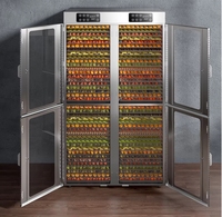 Machine de séchage solaire pour fruits, sécheuse solaire pour poissons, déshydrateur alimentaire pour légumes et tomates