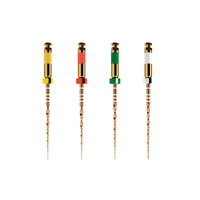 21/25mm W+Files : Kit Essentiel de Forets et Accessoires Dentaires pour une Instrumentation de Canal Radiculaire Efficace