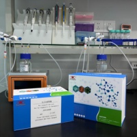 Kit de recherche ELISA pour la protéine précurseur d'amyloïde humaine soluble Alpha (sAPP-alpha)