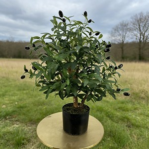 <b>Artificial</b> Olive <b>Tree</b> Potted Plant Bionic High Simulation Plastic Christmas Evergreen Indoor Decor - Product Image 4