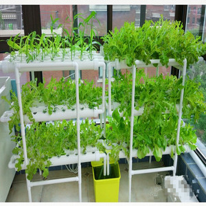 Sistema Hidropónico NFT de PVC Pequeño para Jardín Doméstico - Product Image 2