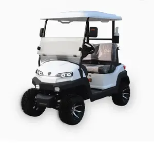 2023 4 roda penggerak 4 6 8 12 tempat duduk klub Golf mobil klub kereta Golf kereta listrik harga murah