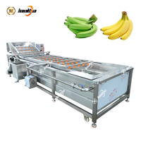 Machine à laver et à éplucher les légumes et les mangues à la noix de coco industrielle Offre Spéciale automatique pour le nettoyage des bananes