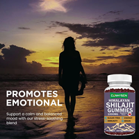 Gummies de Shilajit à Marque Blanche OEM en Promotion pour le Soutien Énergétique et l'Équilibre de l'Humeur avec Notre Mélange Apaisant contre le Stress