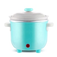 Cuisinière à riz miniature pour bébé de 0,6 L, multifonctionnelle, mijoteuse lente, pot à ragoût en céramique, fabricant de soupe avec pot intérieur en céramique