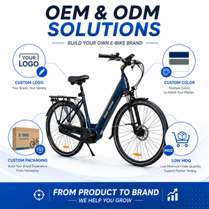 Vélo de ville CITY 5.3 avec cadre en aluminium, moteur central 250W, batterie 36V14Ah, <span class=keywords><strong>Nexus</strong></span> <span class=keywords><strong>7</strong></span> vitesses, freins à disque, homologué CE EN15194, longue autonomie, léger - Product Image 5