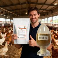 Aliments composés pour volailles de haute qualité pour augmenter le taux de ponte des œufs