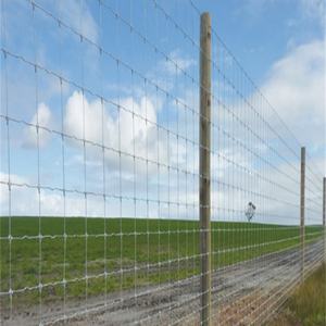 Clôture pour cerfs en vente chaude, clôture pour bétail galvanisée à chaud - Product Image 2