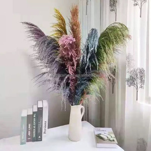 Herbe de la Pampa Séchée en Gros, Grande Taille, Style Naturel Magnifique, pour Mariage, Fête, Noël, Décoration Intérieure, Longue Durée, Sans Perte de Feuilles - Product Image 2
