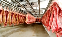 Chambre froide automatique pour viande avec moteur et boîte de vitesses -18~-25°C - Conservation écologique du bœuf, du porc et du poulet congelés