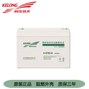KELONG Valve Regulated Lead Acid <b>Battery</b> 12V 24Ah <b>UPS</b> Backup Power Supply - Product Image 5