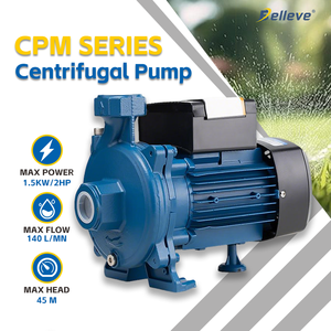 Pompe centrifuge à haute pression automatique <span class=keywords><strong>BLUESEA</strong></span> pour l'irrigation, 1 CV, pour la maison - Product Image 1