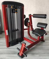Équipement d'extension dorsale en acier pour salle de sport commerciale, prix usine