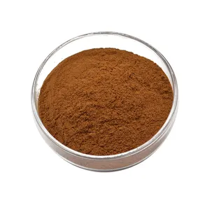 Factory Supply High Quality Mint Extract Mint Powder