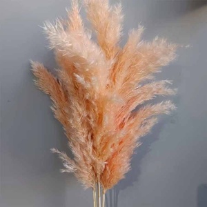 Guirnalda de leña de cañas multicolores pequeñas de estilo nórdico Ins, ramo de eucalipto Real y cañas secas para bodas y decoración del hogar - Product Image 4