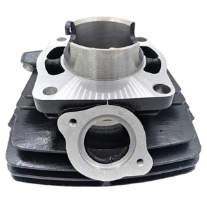 DT175 66mm Zylinderblock Kolbenring Dichtung Hülsen-Kit für Motorrad-Motorreparatur - Product Image 4