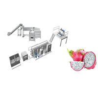 Automatische fruit- en groentewaslijn met bubbelborstel en hogedruksproeier, meertrapswasser