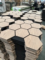 Panneaux muraux en bois décoratifs élégants et modernes pour l'insonorisation des murs