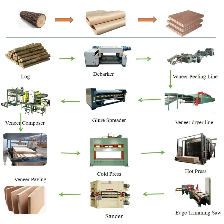 Set lengkap otomatis lini produksi kayu lapis untuk mesin pembuat kayu lapis